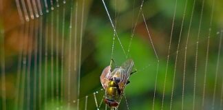 Kiedy nie ma wisieć pranie?