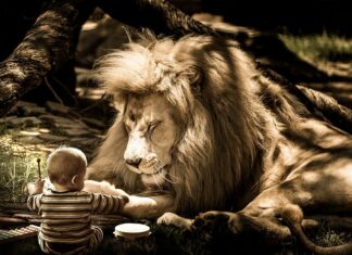 Jak obliczyć objętość naczynia? Jak obliczyć objętość naczynia?