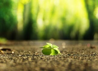 Ile kosztuje one Fulfillment Allegro? Ile kosztuje one Fulfillment Allegro?