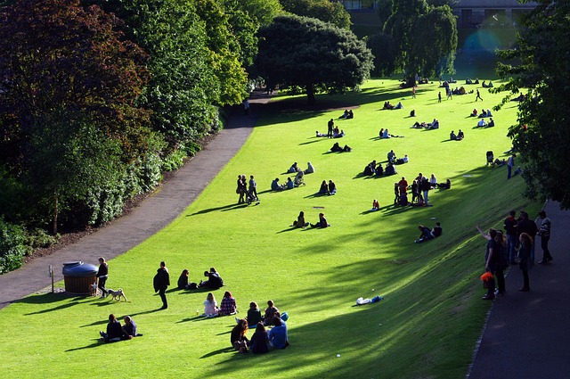 Jak odpiąć węże od chłodnicy? Jak odpiąć węże od chłodnicy?