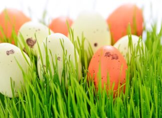 Czy do święconki daje się ser?