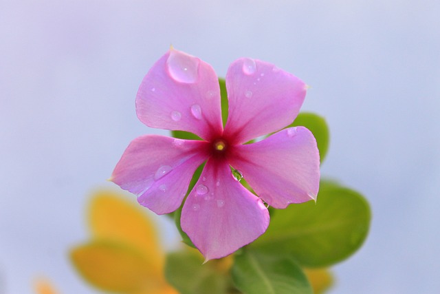 Czy można kłaść kostkę brukową w deszczu? Czy można kłaść kostkę brukową w deszczu?