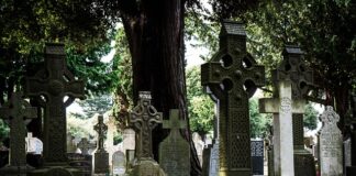 Co zamiast suszarki na pranie?