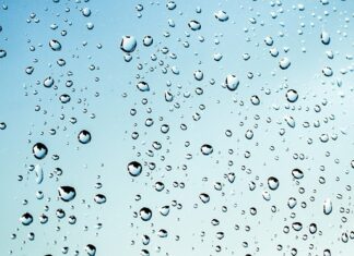 Gdzie wyrzucać mokre woreczki foliowe?