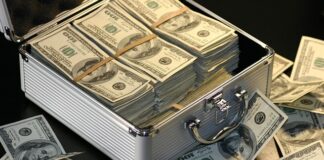 Ile zarabia Detailer aut?