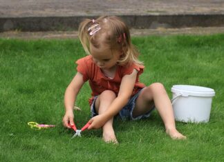 Czym się kosić trawę? Czym się kosić trawę?