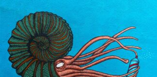 Czy potrzebny jest syfon do pralki?