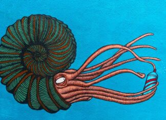 Czy potrzebny jest syfon do pralki? Czy potrzebny jest syfon do pralki?