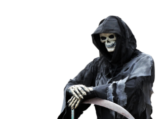 Jaka kosa spalinowa do 800 zł?