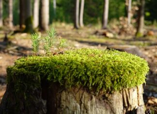 Jak zregenerować kokpit?