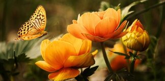 Ile kosztuje mycie kół?