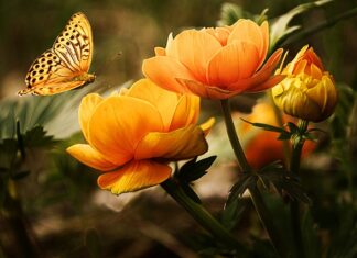 Ile kosztuje mycie kół?