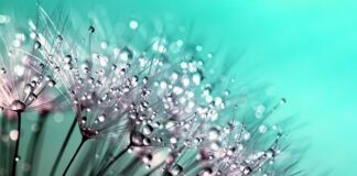 Co to znaczy Detailing?