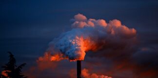 Gdzie idą spaliny z EGR?