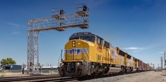 Jaka kosa spalinowa do wysokiej trawy?