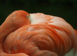 Czy można samemu odłączyć kuchenkę gazową?