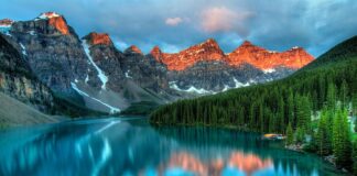 Jaki kamień zamiast kostki?