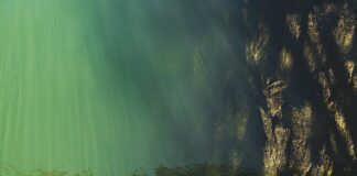 Dlaczego podnosi się poziom płynu w zbiorniczku wyrównawczym?