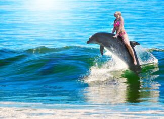 Ile Quad 125 jedzie na godzinę? Ile Quad 125 jedzie na godzinę?