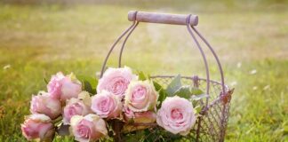 Jak wejść w kosz na telefonie?