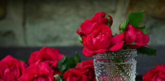 Jaki Pojemnik na śmieci dla 4 osób?