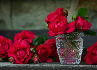 Jaki Pojemnik na śmieci dla 4 osób?