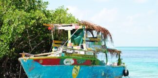 Czy warto użyć Uszczelniacz do klimatyzacji?