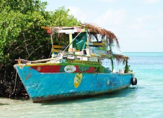 Czy warto użyć Uszczelniacz do klimatyzacji? Czy warto użyć Uszczelniacz do klimatyzacji?