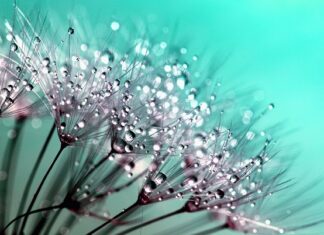 Od czego zacząć detailing? Od czego zacząć detailing?