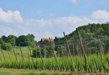 Jak ustawić sztangę turbiny? Jak ustawić sztangę turbiny?