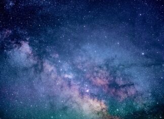 Co się wrzuca do niebieskiego pojemnika?