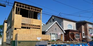 Czym zasłonić śmietnik?