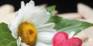 Czym zabezpieczyć zaciski hamulcowe?