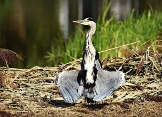 Gdzie suszyć ręczniki po kąpieli? Gdzie suszyć ręczniki po kąpieli?