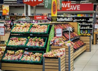 Na co zwracać uwagę przy zakupie kosy spalinowej?