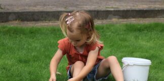 Co ile kosić trawę bez kosza?