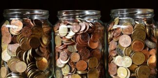 Jak zabezpieczenie przewodów zapłonowych przed gryzoniami?