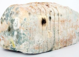 Czym dezynfekować pojemniki na śmieci? Czym dezynfekować pojemniki na śmieci?